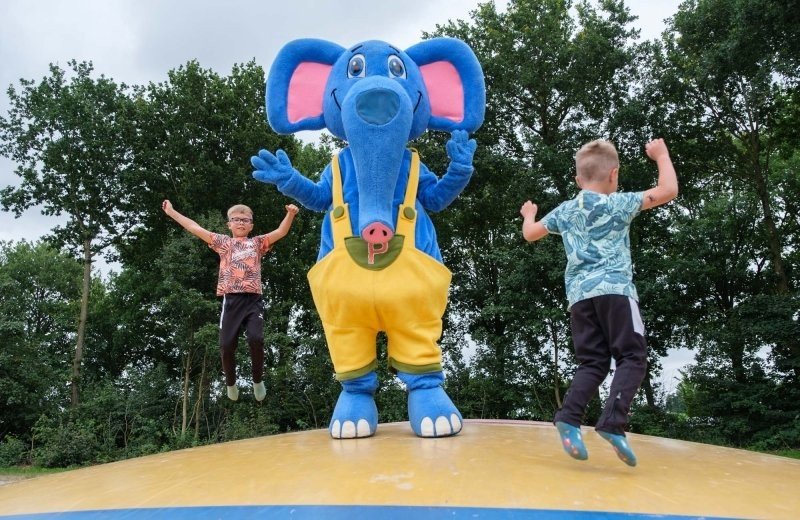 Campingplatz De Pallegarste erhält 5 Sterne!