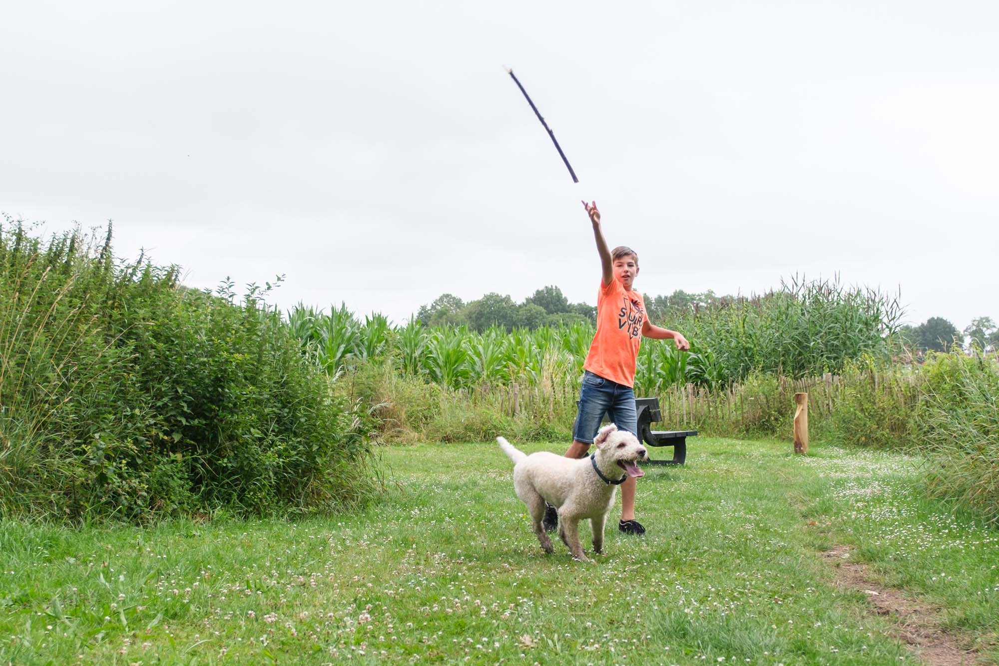 Glamping Nederland met hond